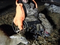 2018 Deer Hunt for People with Disabilities