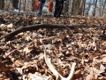 2025 Annual Ben Sapp Shed Hunt for Youth | ExploreMarkTwainLake.com