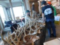 2025 Annual Ben Sapp Shed Hunt for Youth | ExploreMarkTwainLake.com