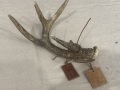 2025 Annual Ben Sapp Shed Hunt for Youth | ExploreMarkTwainLake.com