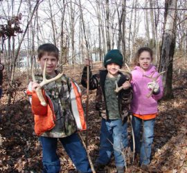 Shed Hunt