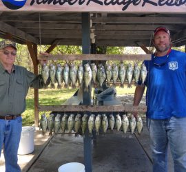 Mark Twain Lake fish