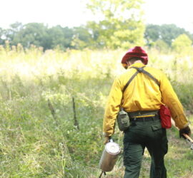 MDC Prescribed Burn